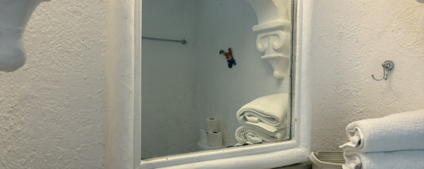 Agradable Studio con Terraza